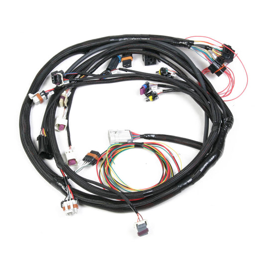 LS2 3 7+ (58X4X) ENGINE MAIN HARNESS.jpg