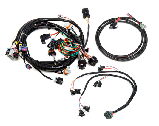 LS 24X EFI HARNESS KIT.jpg